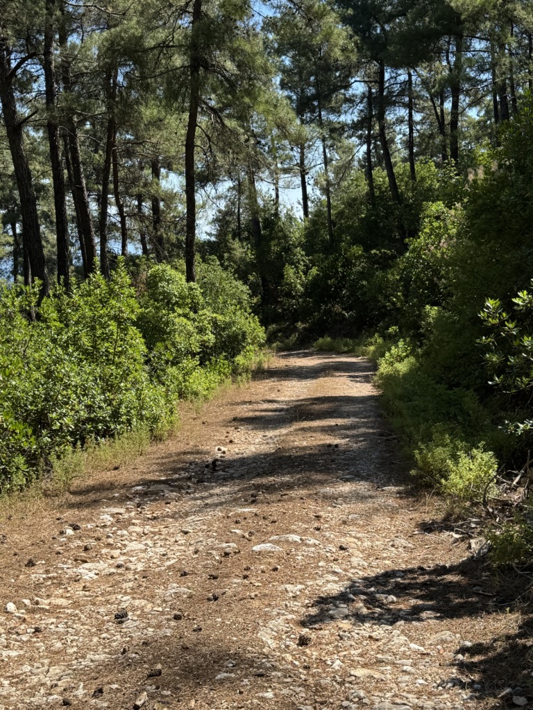 Tag 19 – Zurück in Limenas